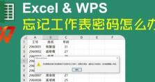 解决电脑表格密码错误的方法（忘记或遗失电脑表格密码怎么办）