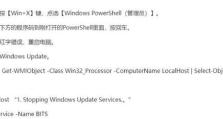 电脑显示错误码219解决方法（电脑错误码219原因分析与解决方案）