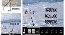 脸部滤镜调色电脑教程（以滤镜调色技巧，轻松优化面部肤色）