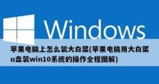 优盘大白菜装系统教程（使用优盘大白菜装系统，轻松畅享优质操作体验）
