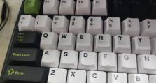 狼蛛与新盟键盘（解析狼蛛和新盟键盘的特点与优势，带给你极致的游戏体验）