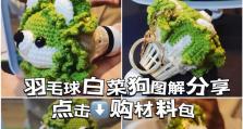 大白菜最新版使用教程（一步步教你玩转大白菜，发现更多使用技巧）