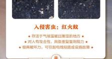 急救处理毒虫蛰伤的方法（保护伤口、冷敷、升高患部、症状缓解、及时就医）
