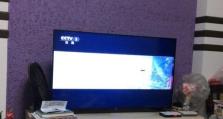 评测PPTV32寸电视机（体验画质、音效与智能系统的升级，发现乐趣无限）