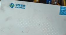 手机Wi-Fi连接无法上网的原因解析（解决您手机Wi-Fi无法上网的疑惑）