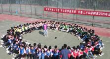 以梧桐果招聘优势和体验为核心的文章（解读梧桐果招聘，为求职者打造最佳职业机会）