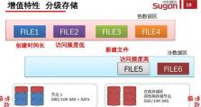曙光存储（以曙光存储为基础，实现数据安全和高性能的存储环境）