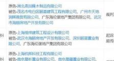 以功夫熊欠薪官司（揭露劳动纠纷背后的黑暗，为工人争取合法权益）